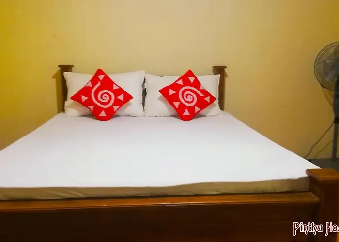 Pinthu Home Stay