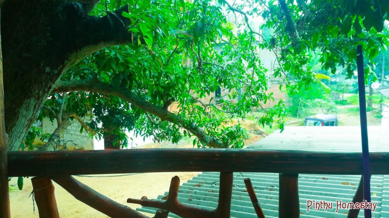 Séjour chez l'habitant Pinthu Sigirîya