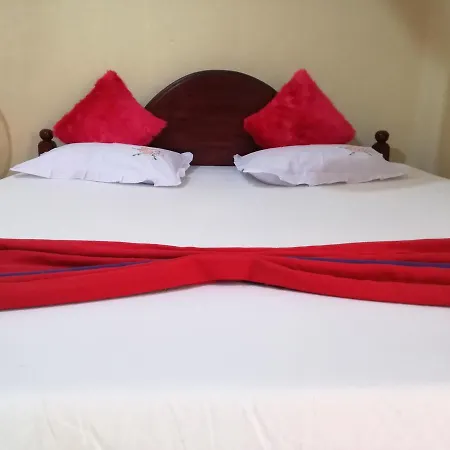 Pinthu Home Stay Sigirîya Extérieur photo