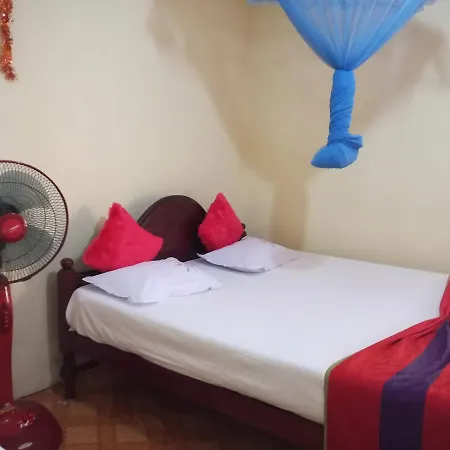 Pinthu Home Stay Sigirîya Extérieur photo