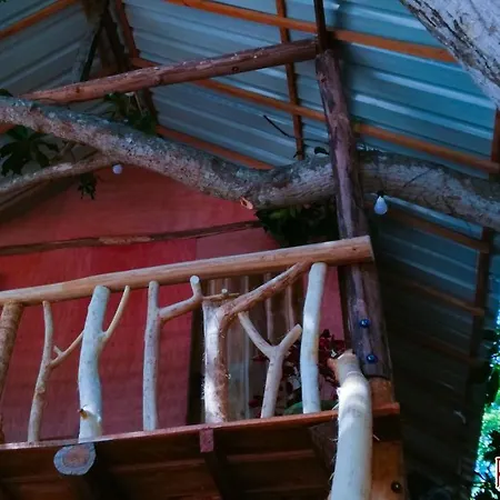 Pinthu Home Stay Sigirîya Extérieur photo