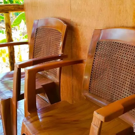 Pinthu Home Stay Sigirîya Extérieur photo